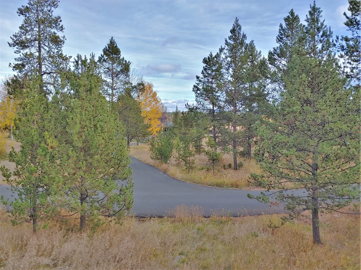 A peaceful view of a winding road bordered by tall evergreen trees and vibrant autumn foliage. The setting suggests a serene, natural environment perfect for walking or biking, with an open path inviting exploration.